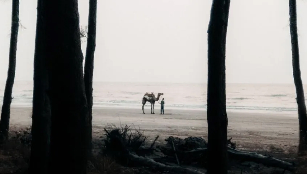 Photography Composition