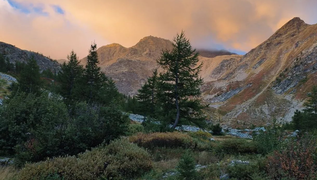 Mobile Photography with OPPO Reno8 5G