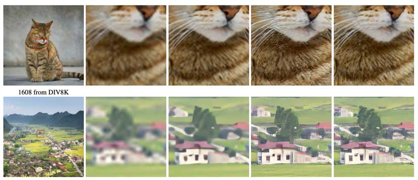 OPPO’s RFB-ERSGAN neural network produces more natural textures, e.g., animal fur, building structure and plant texture.