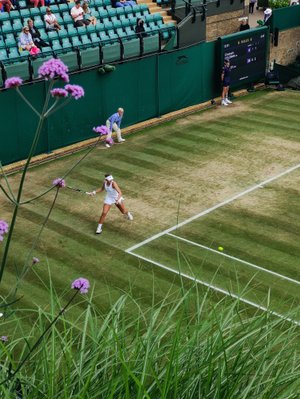 Inside the Court of Wimbledon