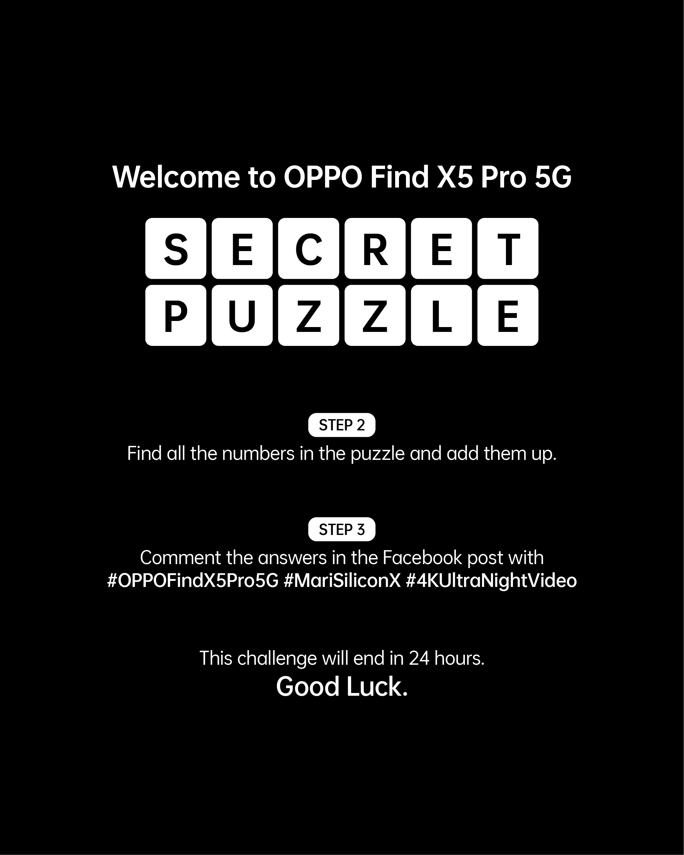 Find X5 Pro 5G secret puzzle intro page