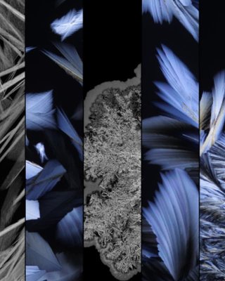 פרוייקט טפט של אומן