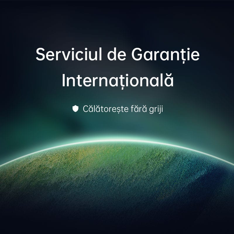 Serviciul de Garanție Internațională