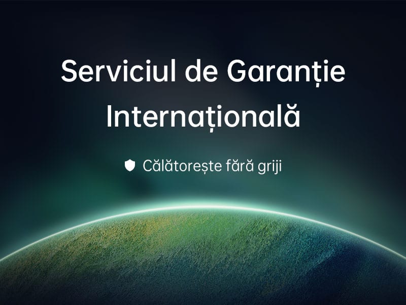 Serviciul de Garanție Internațională