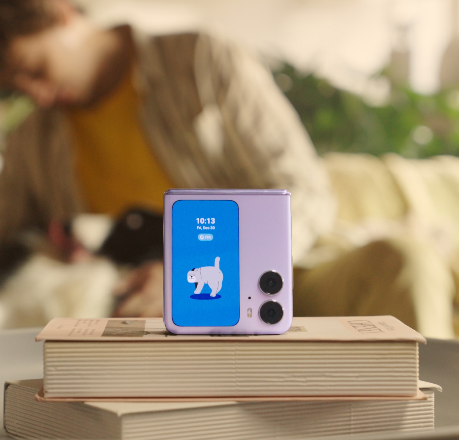 The best of both worlds